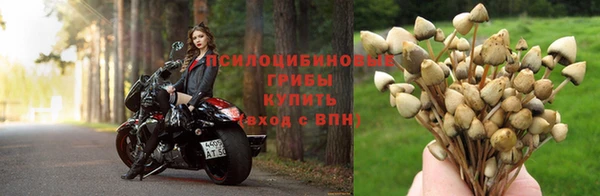 кристаллы Белокуриха