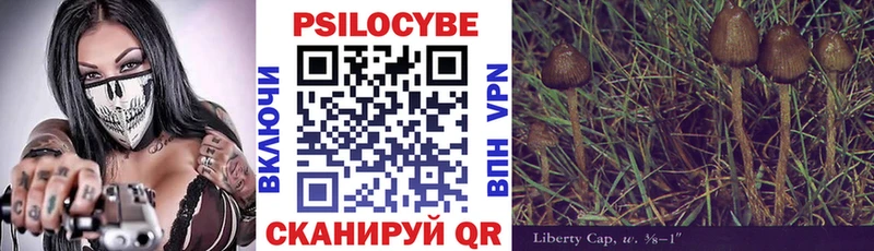 Купить где  Добрянка  Галлюциногенные грибы GOLDEN TEACHER 